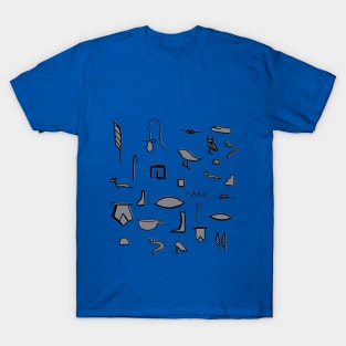 Show me the hieroglyphs! T-Shirt